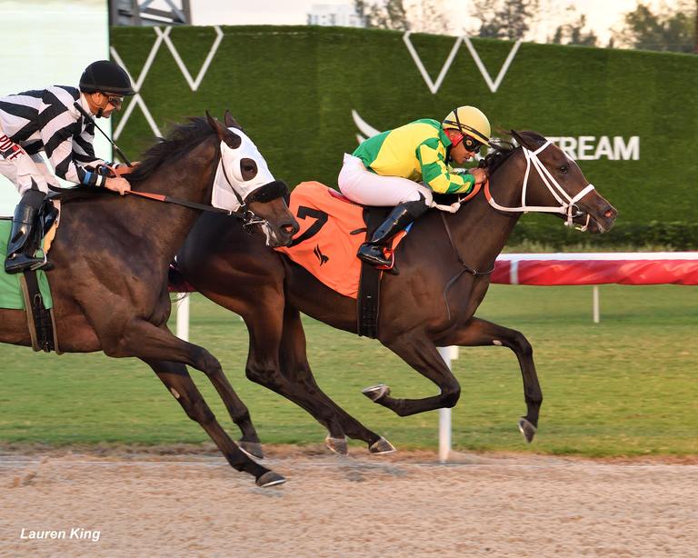 Jockey Miguel Vasquez registered a Sunday hat trick including aboard Smile Po. (Lauren King)