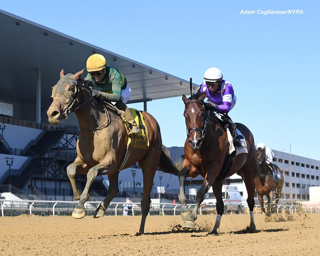 Evidencias got a little dusty dusting the field. (Adam Coglianese/NYRA)