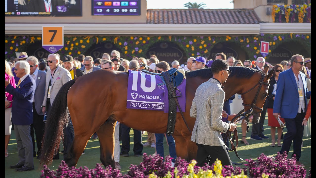 Breeders’ Cup 2024 Two Vulnerable Favorites on Breeders’ Cup Saturday