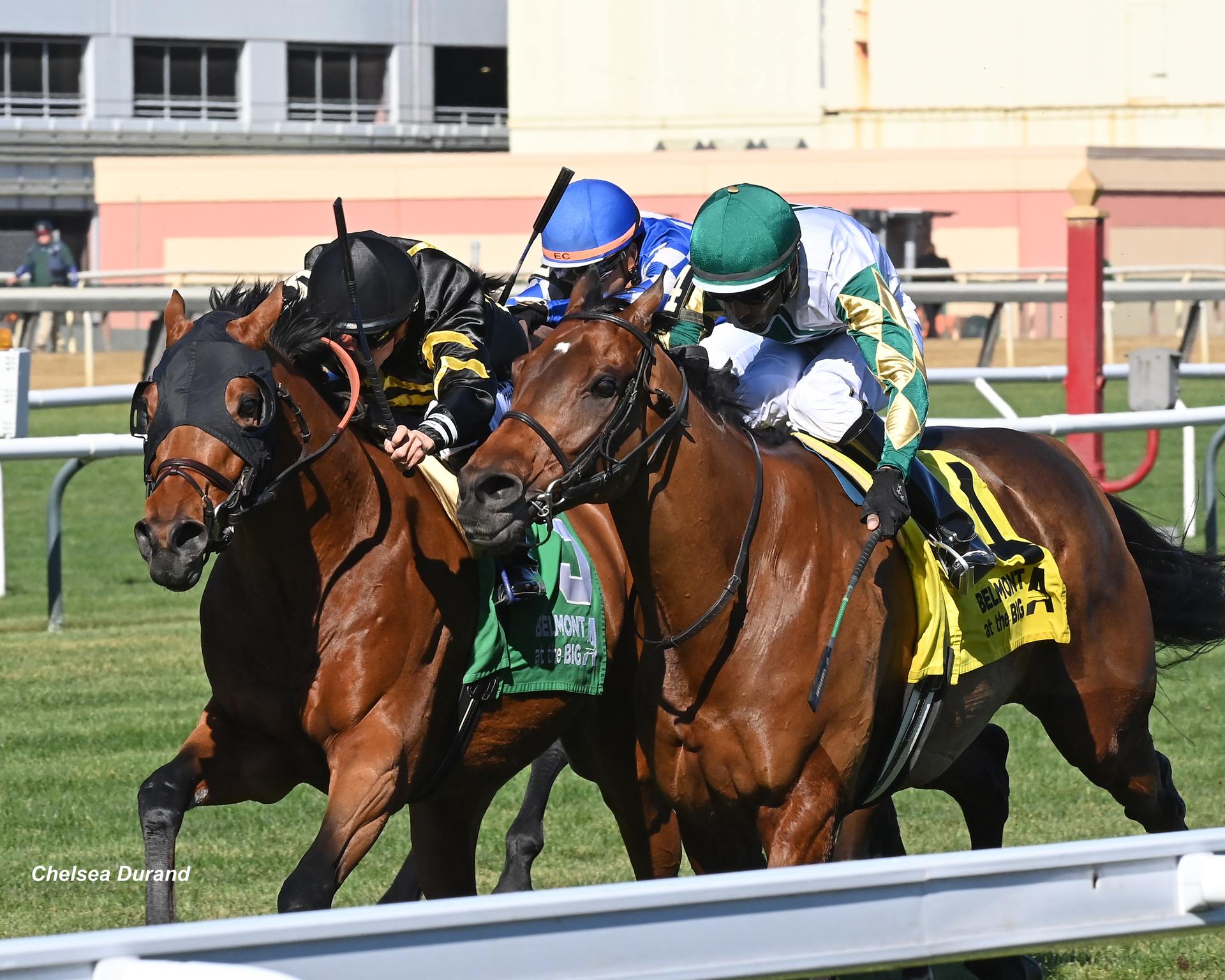 Running Bee Takes Another Big Apple Bite - Past The Wire