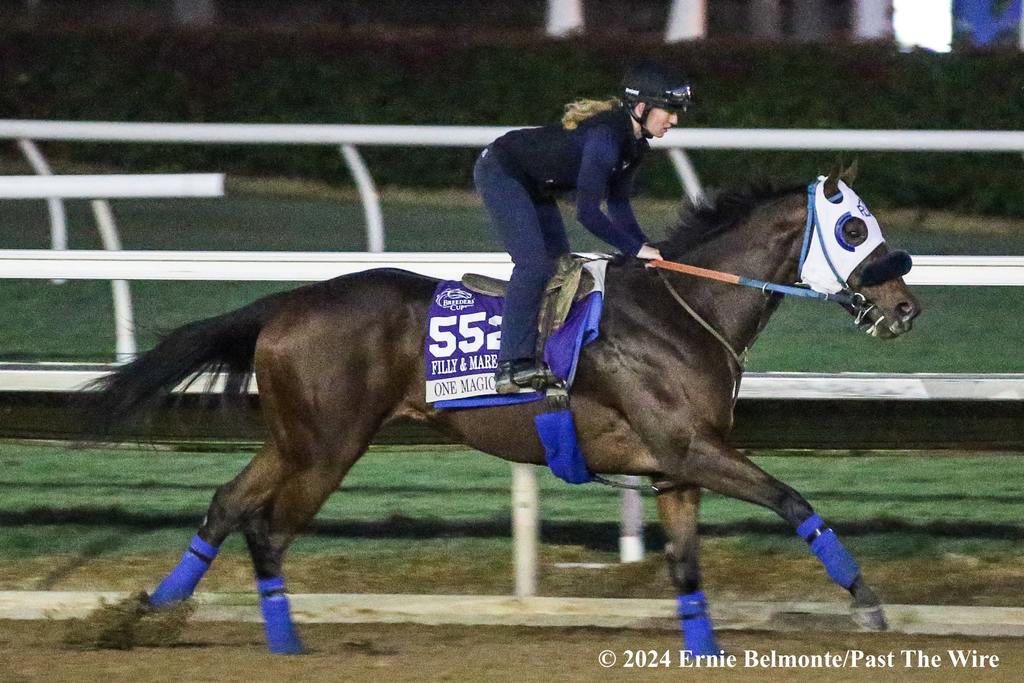 One Magic Philly in a pre-Breeders’ Cup work. (Ernie Belmonte/Past The Wire)