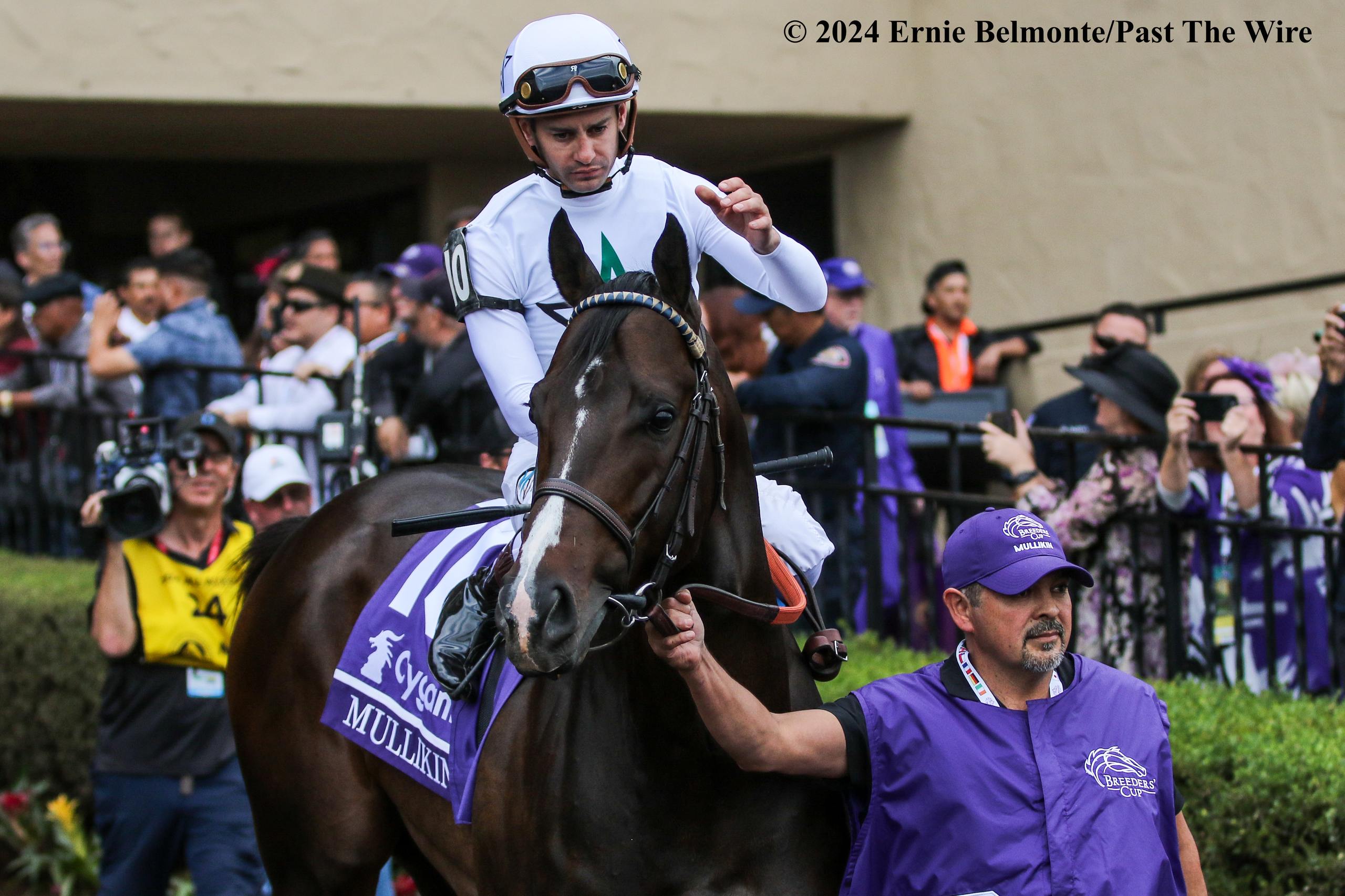 Horses Prep for BC at Keeneland - Past The Wire