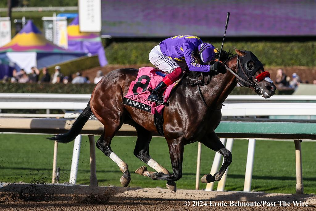 Raging Torrent took the 2024 Malibu Grade 1. (Ernie Belmonte/Past The Wire)