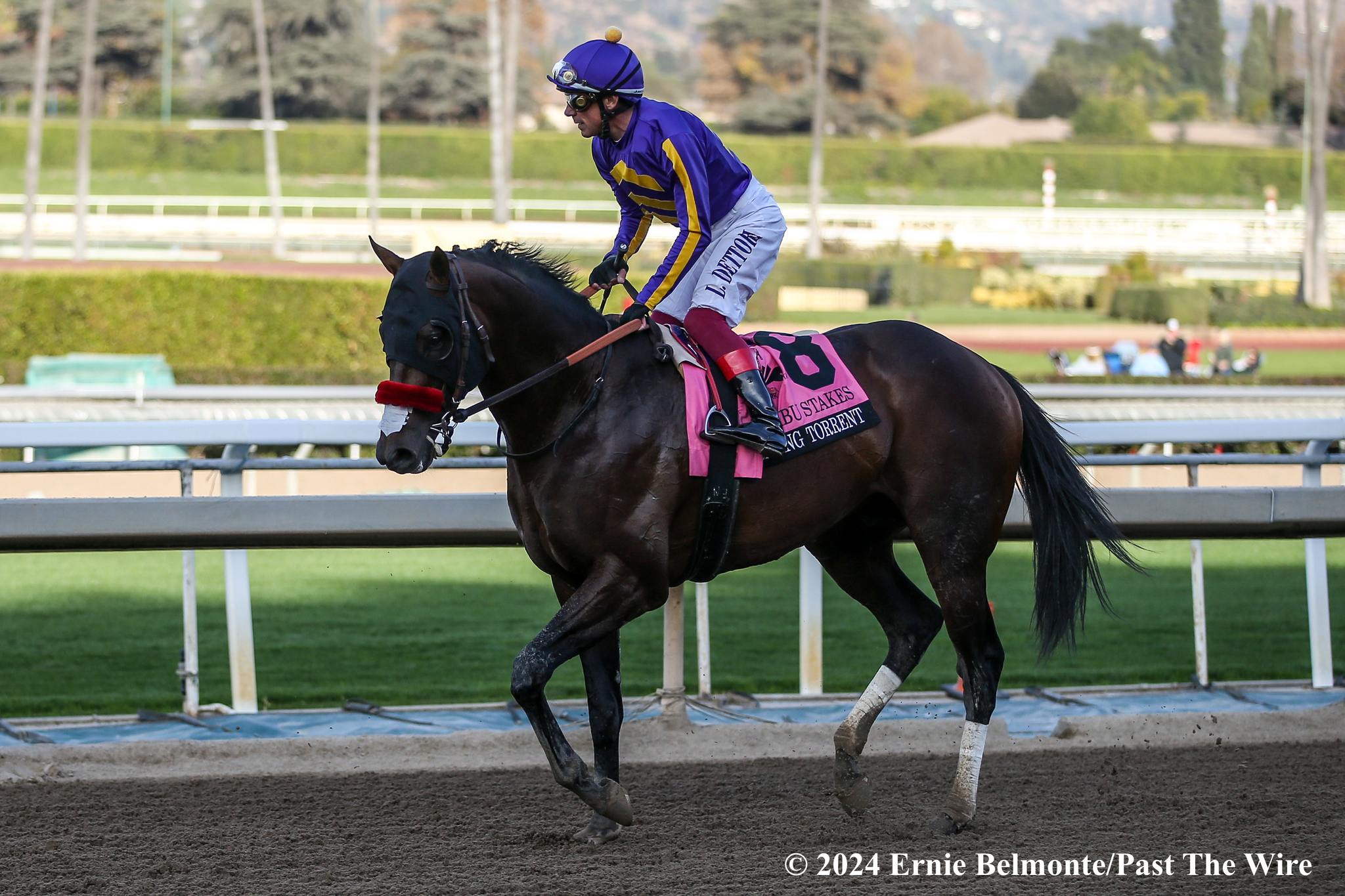 Raging Torrent Secures the Win in G1 Malibu - Past The Wire