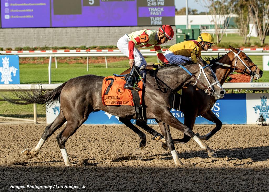 Blue Fire with jockey Jose Ortiz aboard outduels Secret Faity to win the 34th running of the $100,000 Louisiana Champions Day Lassie at Fair Grounds. (Hodges Photography / Lou Hodges, Jr.)