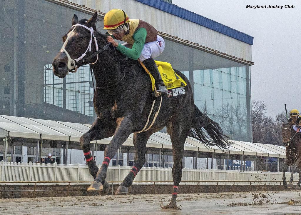 Caprice. (Maryland Jockey Club)