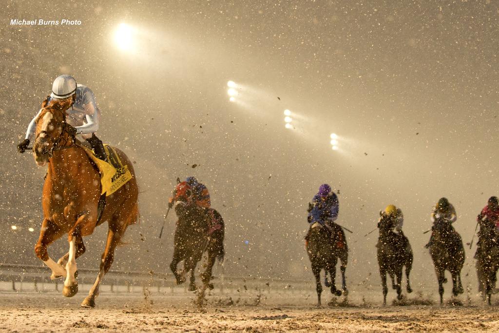 ... one horse leads the way ... (Michael Buns Photo)