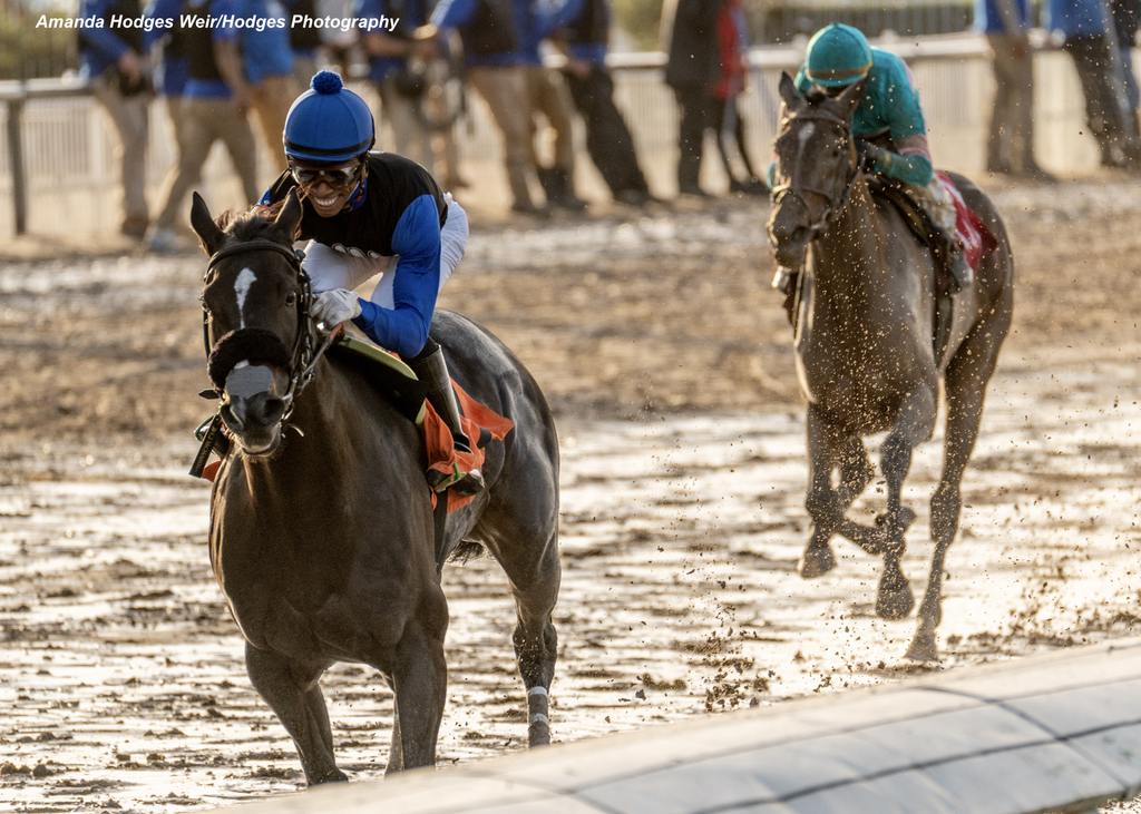 Wild Bout Hilary with C.J. McMahon aboard. (Amanda Hodges Weir/Hodges Photography)