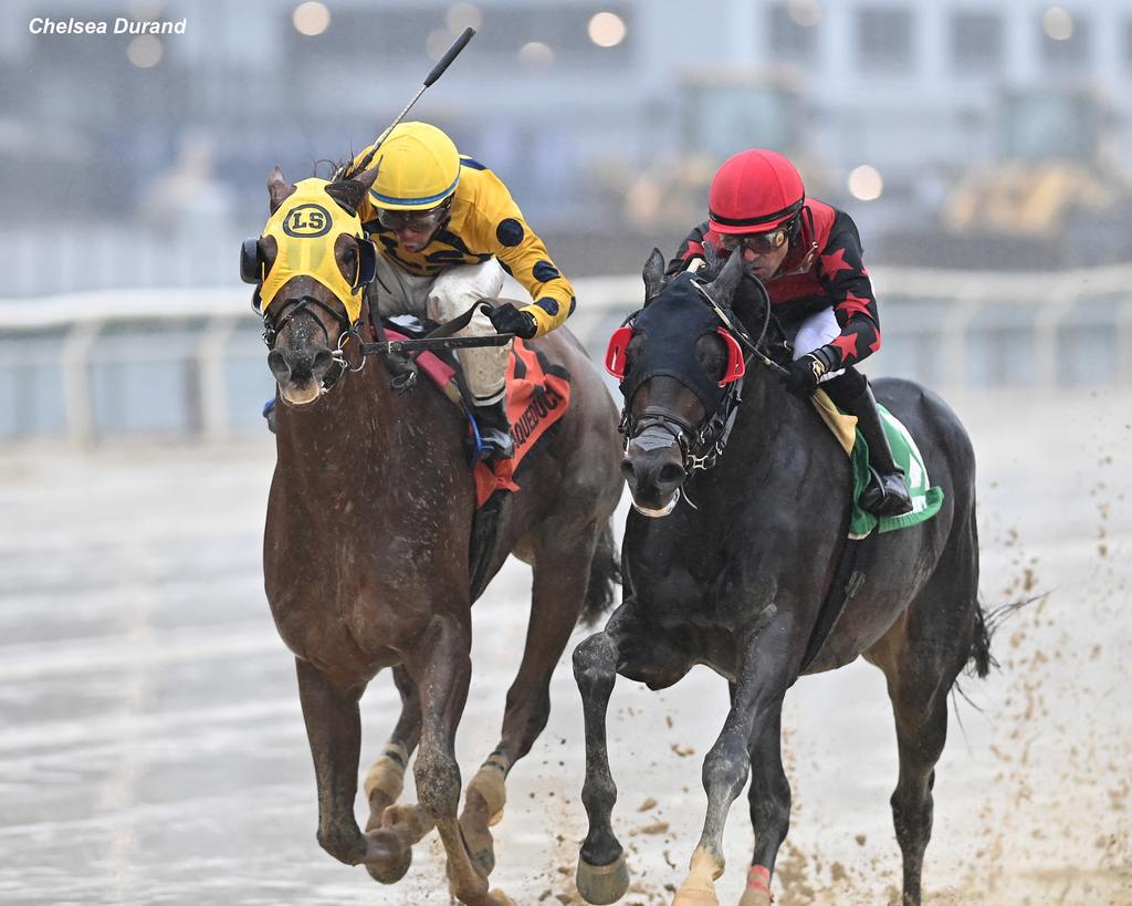 Bank Frenzy and Doc Sullivan duel on the rail. (Chelsea Durand)