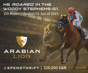 SP: Arabian Lion Square