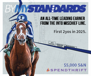 SP: By My Standards Square