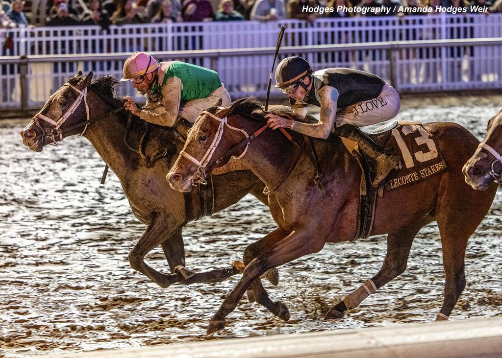 Disco Time runs down Built. (Hodges Photography / Amanda Hodges Weir)