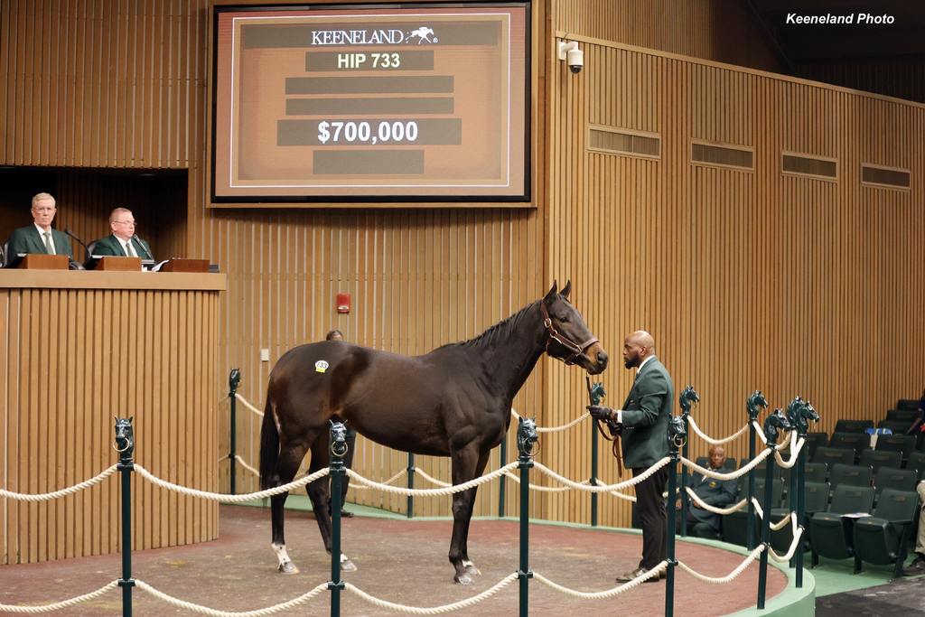 Love to Shop. (Keeneland Photo)