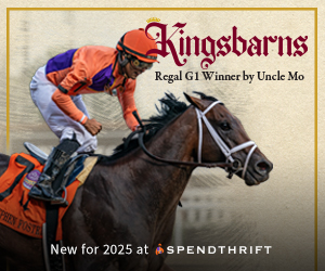 SP: Kingsbarns Square Ad