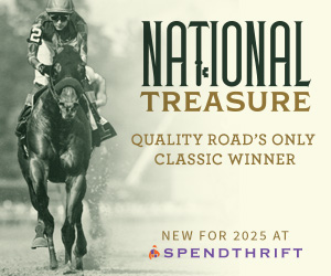 SP: National Treasure Square