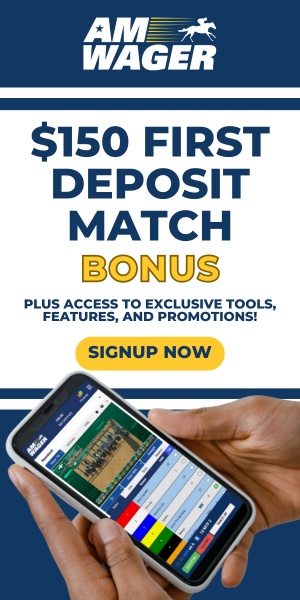 AW: AmWager Vertical Ad (ad)
