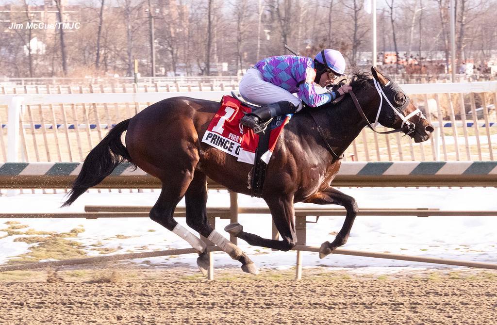 Prince of Jericho. (Jim McCue/TMJC)Prince of Jericho. (Jim McCue/TMJC)