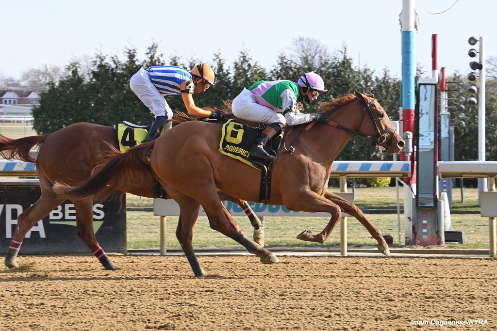 Ramify under Prat just nicks My Sherrona at the wire. (Adam Coglianese/NYRA). 