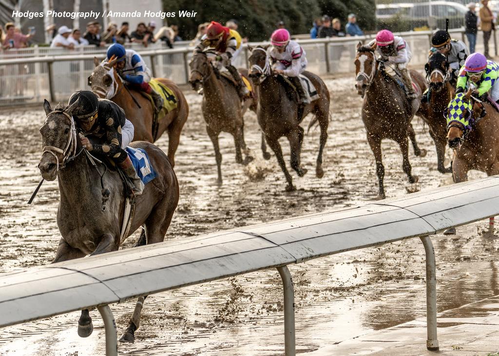 Stir Crazy with Joel Rosario piloting slips through along the rail and goes on to win the 31st running of the $100,000 Marie G. Krantz Memorial Stakes. (Hodges Photography / Amanda Hodges Weir)