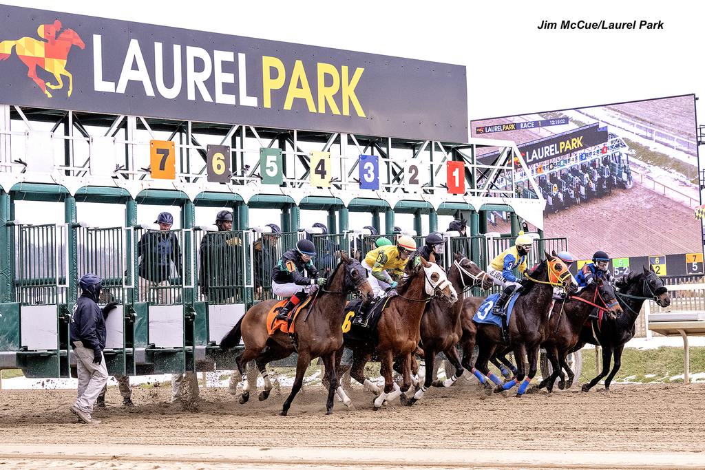 New Laurel Park logo adorns the starting gate. (Jim McCue/Laurel Park)