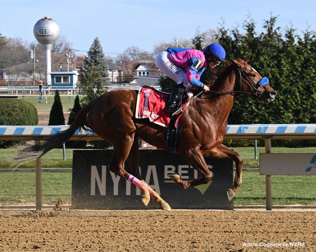 Bernieandtherose scoring an allowance at Aqueduct Nov. 24, 2024. (Adam Coglianese/NYRA)