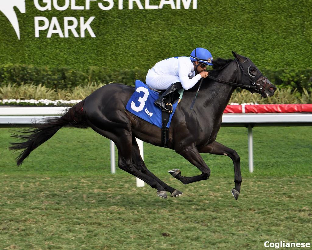 Silent Heart scores in an allowance optional claimer Jan. 31 at Gulfstream Park (Coglianese)