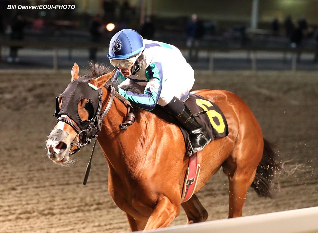 The two-year-old Pennsylvania Bred filly by Maximus Mischief is trained by Flint Stites for owner DeSales 85 LLC. (Bill Denver/EQUI-PHOTO)