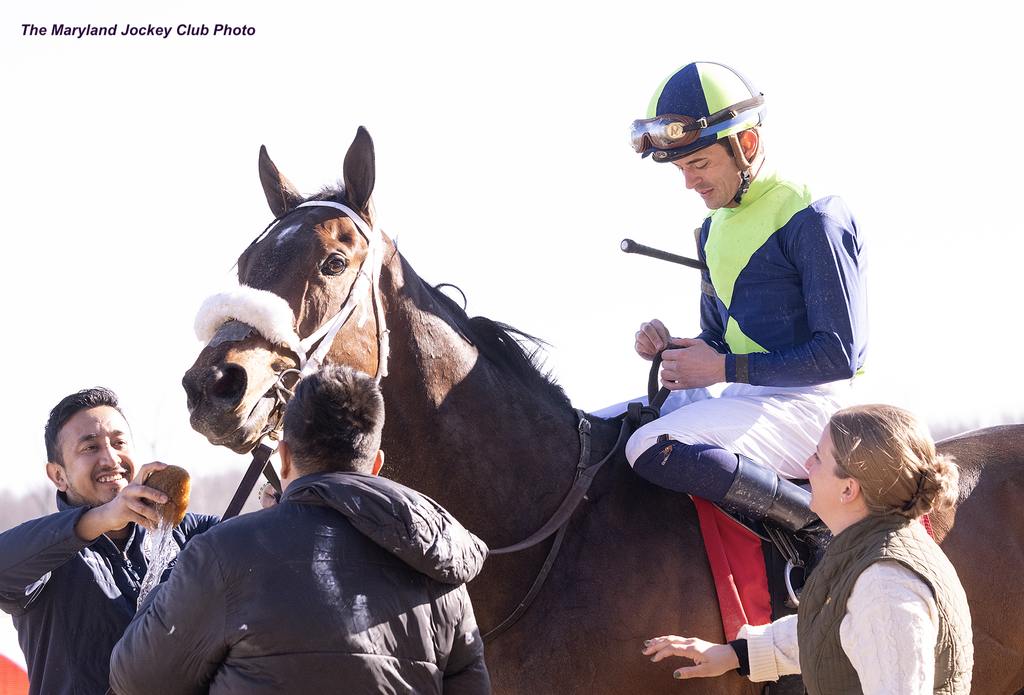 Sheldon Russell gets three wins on the day. (The Maryland Jockey Club Photo)