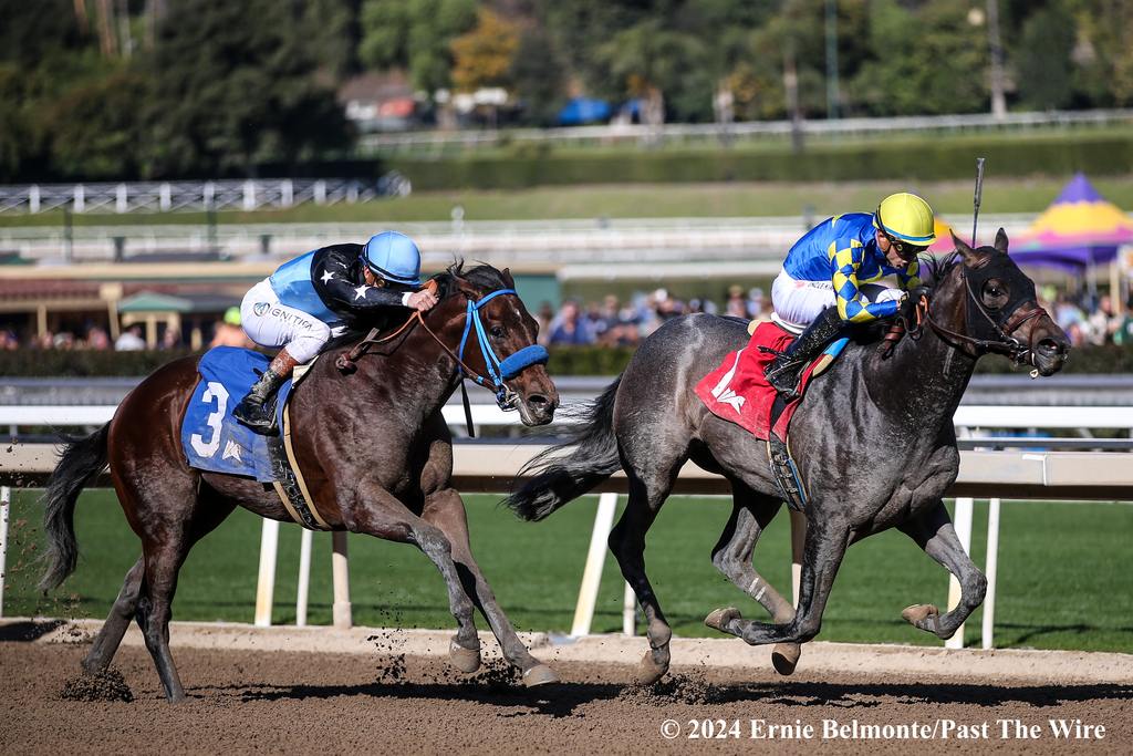 Madaket Road scores a maiden victory at Santa Anita. (Ernie Belmonte/Past The Wire)