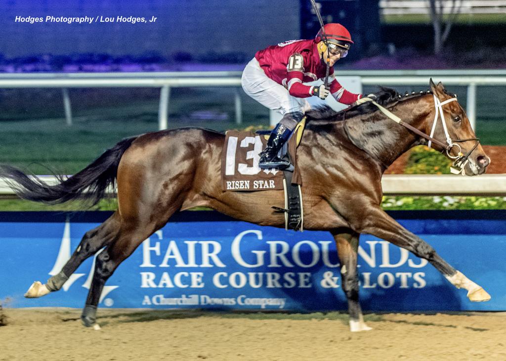 2/15/2025  -  Magnitude with Ben Curtis aboard wins the 53rd running of the Grade II $500,000 Risen Star Stakes at Fair Grounds.  Hodges Photography / Lou Hodges, Jr.