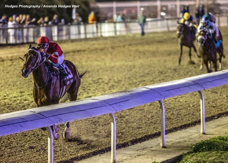 2/15/2025  -  Magnitude with Ben Curtis aboard wins the 53rd running of the Grade II $500,000 Risen Star Stakes at Fair Grounds.  Hodges Photography / Amanda Hodges Weir