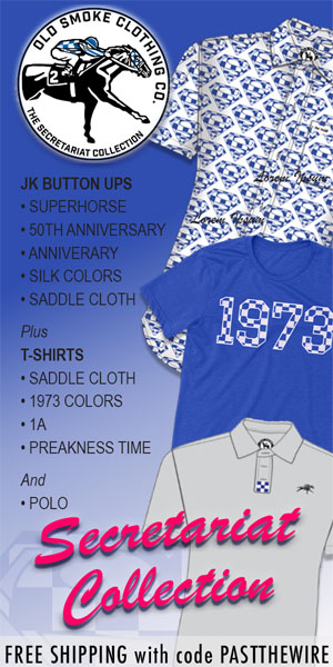 OS: Sec Coll AD 300x600 (ad)