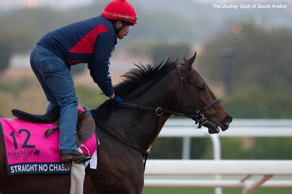 Straight No Chaser, Morning Trackwork, 15 Feb 2025. (The Jockey Club of Saudi Arabia photo)