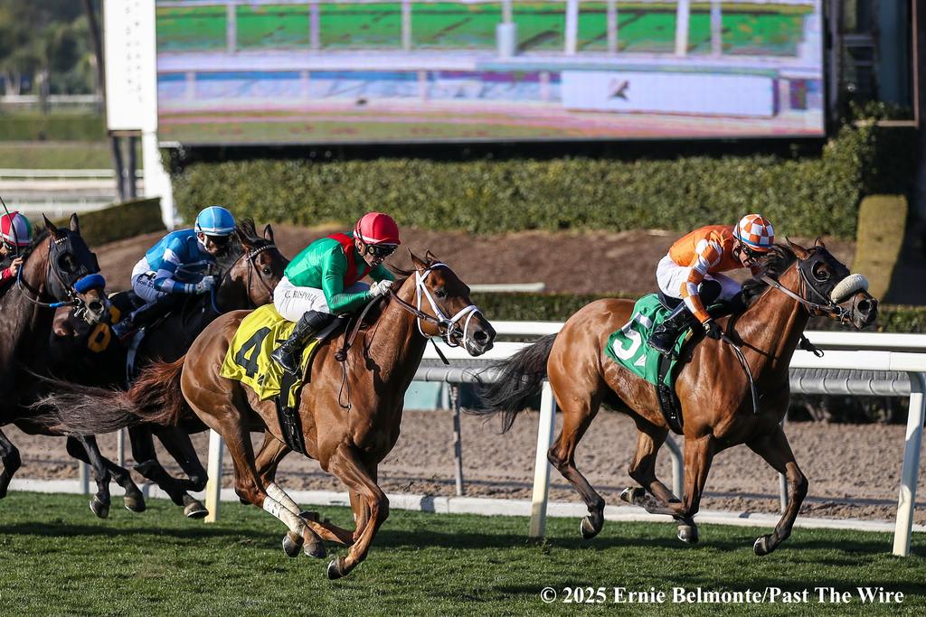 Sea Singer scoring an allowance Feb. 2. (Ernie Belmonte/Past The Wire)