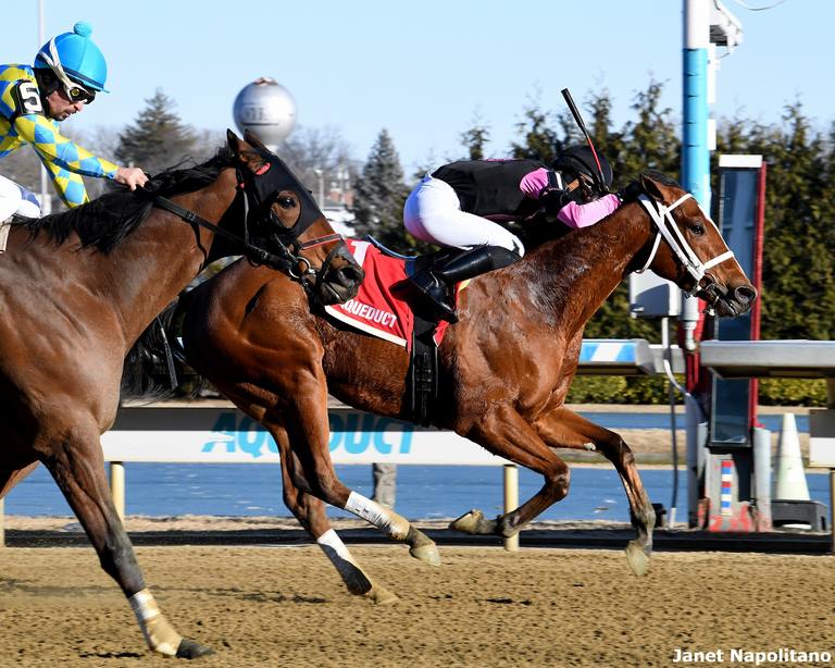 maximus meridius the toboggan credit janet napolitano
