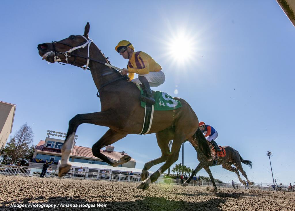 Blue Fire with jockey Florent Geroux aboard. (Hodges Photography / Amanda Hodges Weir)