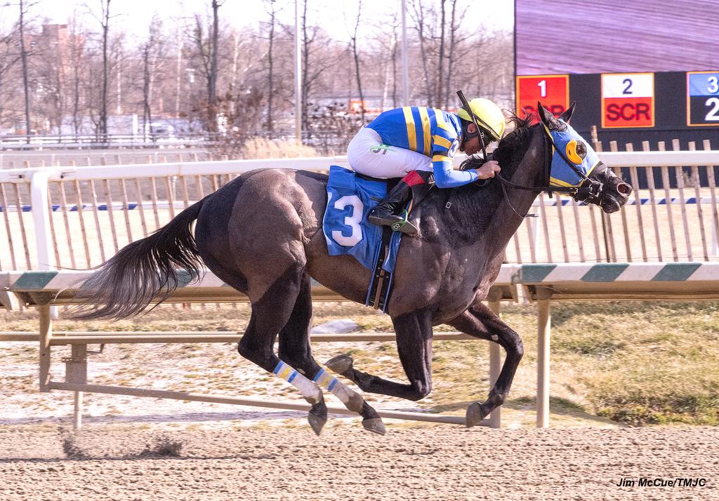 Double Airo. (Jim McCue/TMJC)