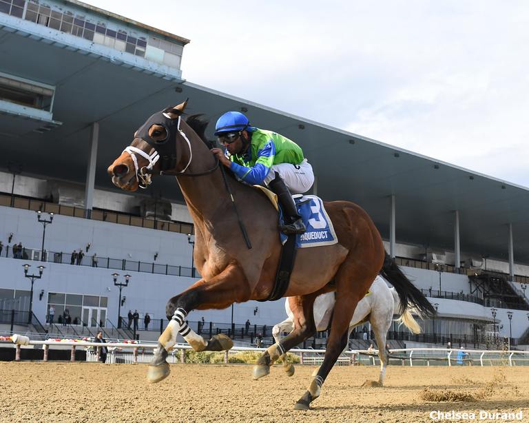 Full Moon Madness the Tom Fool credit chelsea durand2