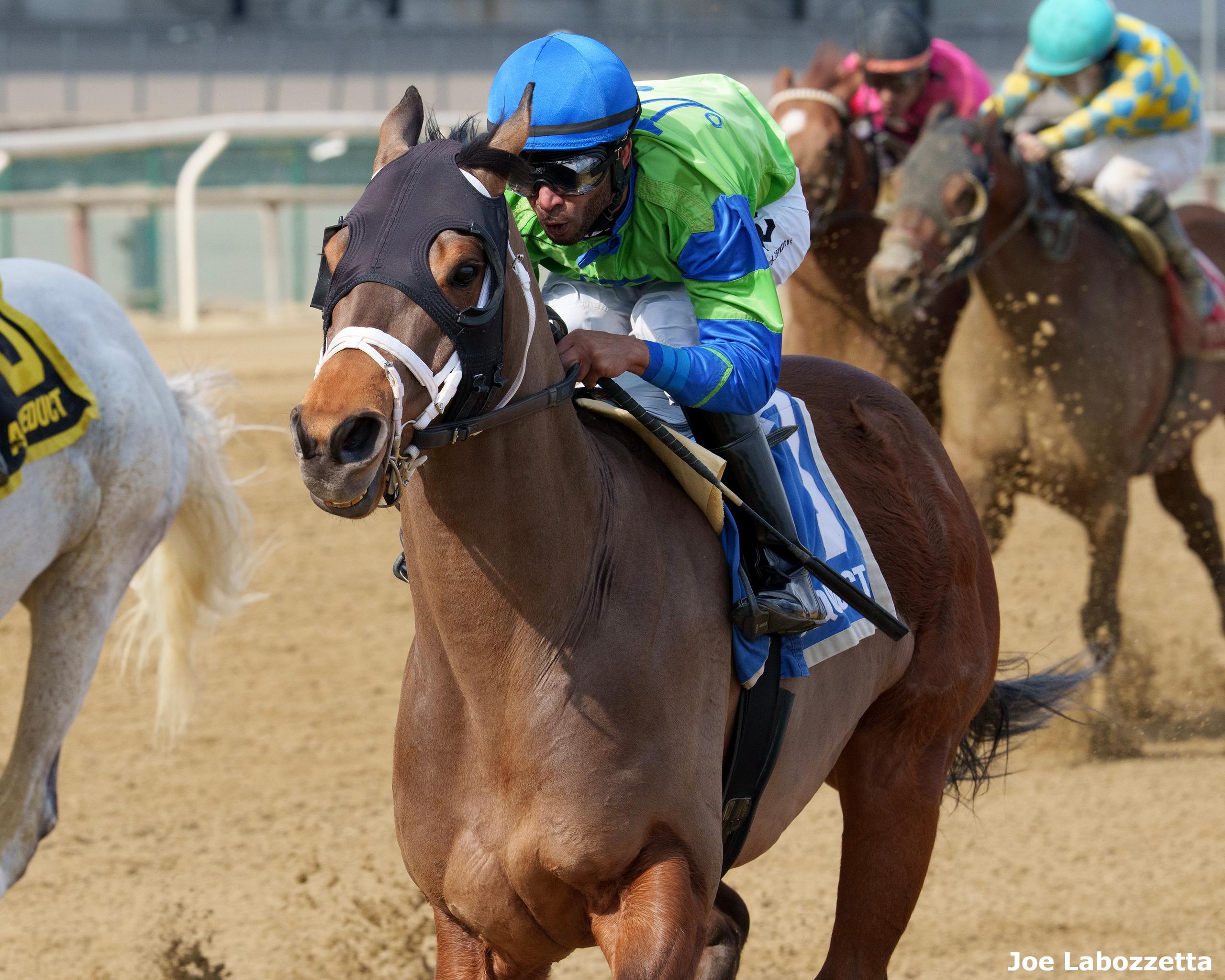 Full Moon Madness Digs in to Win G3 Tom Fool - Past The Wire