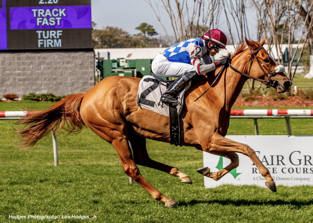 Highly Wicked with jockey Marcelino Pedroza, Jr. aboard. (Hodges Photography / Lou Hodges, Jr.)