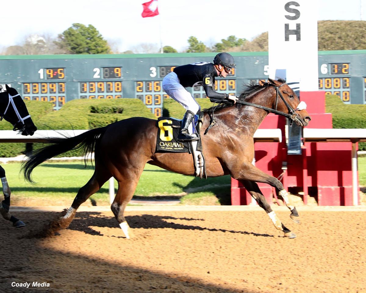 さと75 様 thoroughbred navy Navy Seal Beats Defender in Nodouble - Past The Wire