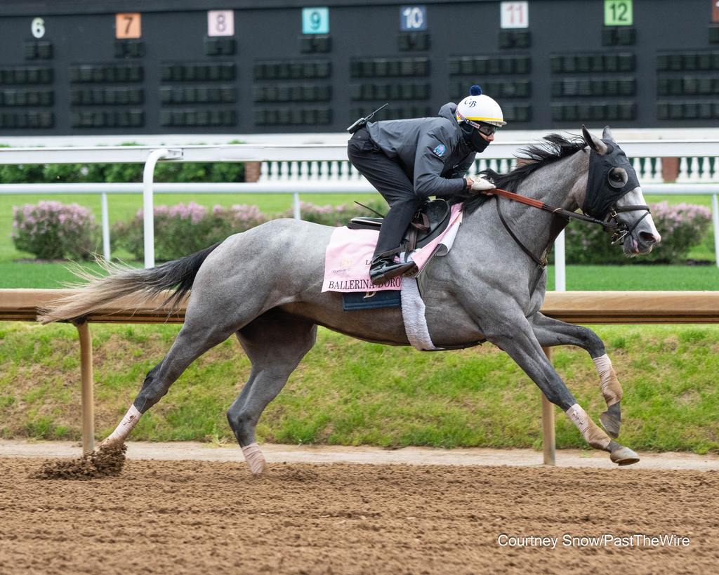 Ballerina d’Oro. (Courtney Snow/Past The Wire)