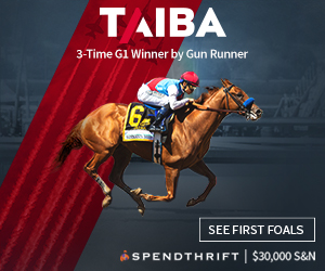 SP: Taiba Square