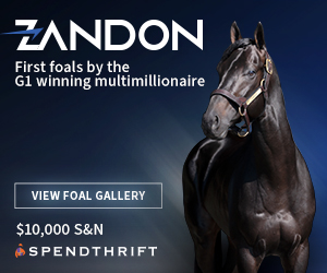 SP: Zandon Square