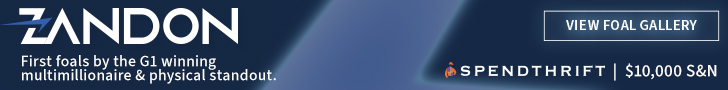 SP: Zandon Banner