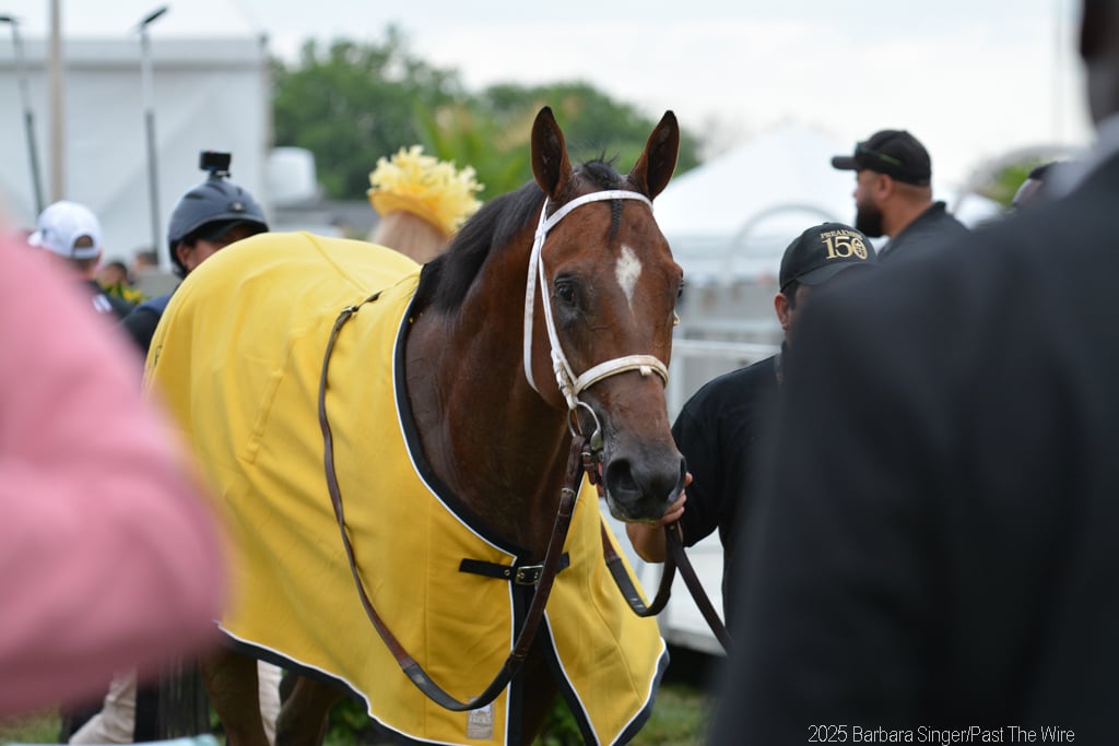 Cooling down. (Barbara Singer/Past The Wire)