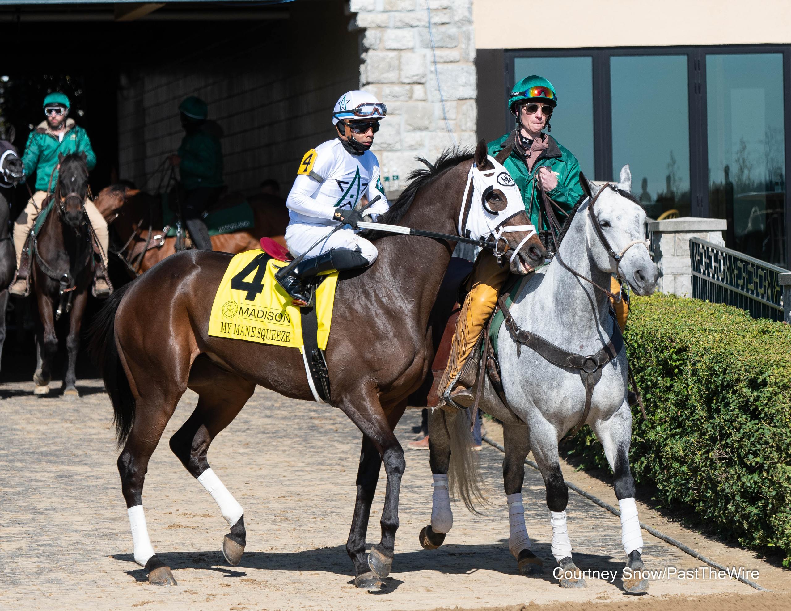 〈FEILER〉 UNITED ARROWS 別注 SPRINT HORSE オンライン ショッピング 通販ファッション - 【ARROWS別注