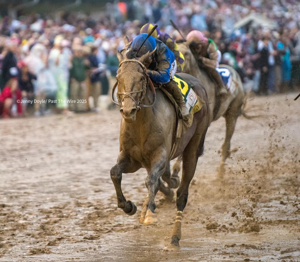 Final Gambit (pink cap) tries to catch Sovereignty but no one could. (Jenny Doyle/Past The Wire)