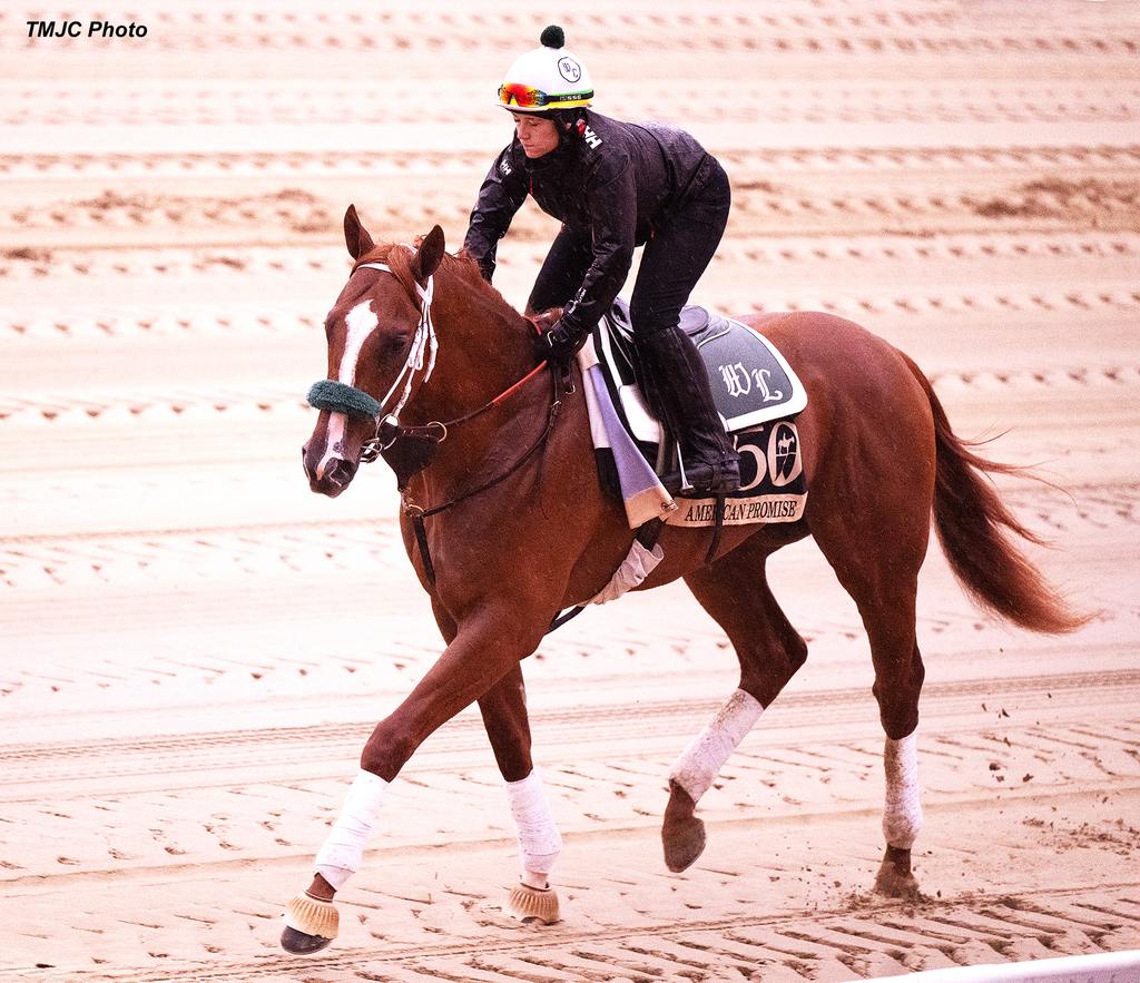 American Promise out on the Pimlico track. (TMJC Photo)