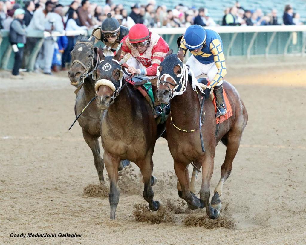 Another look at the run to the wire with Like a Saltshaker (inside) getting the head bob over Keen Cat. (Coady Media/John Gallagher)